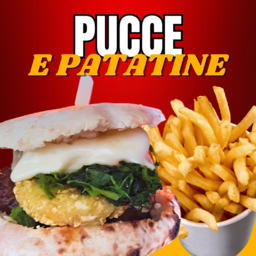 LE PUCCE